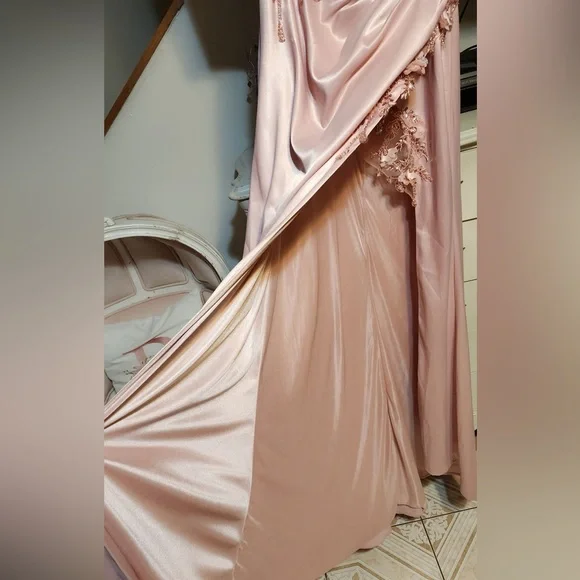 Cinderella Divine blush pink dress/gown - Picture 7 of 7